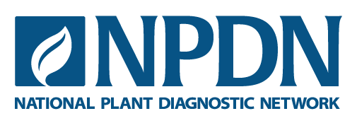 NPDN primary